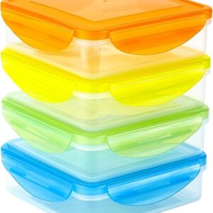 Sandwich Containers